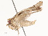  ( - CBG-A54375-E06)  @11 [ ] CreativeCommons - Attribution Share - Alike (2024) CBG Photography Group Centre for Biodiversity Genomics