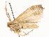  ( - CBG-A54376-E02)  @11 [ ] CreativeCommons - Attribution Share - Alike (2024) CBG Photography Group Centre for Biodiversity Genomics