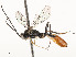  ( - CBG-A54380-D01)  @11 [ ] CreativeCommons - Attribution Share - Alike (2024) CBG Photography Group Centre for Biodiversity Genomics