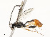  ( - CBG-A54380-D07)  @11 [ ] CreativeCommons - Attribution Share - Alike (2024) CBG Photography Group Centre for Biodiversity Genomics