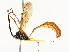  ( - CBG-A54380-D11)  @11 [ ] CreativeCommons - Attribution Share - Alike (2024) CBG Photography Group Centre for Biodiversity Genomics