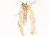  ( - CBG-A54381-A05)  @11 [ ] CreativeCommons - Attribution Share - Alike (2024) CBG Photography Group Centre for Biodiversity Genomics