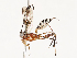  ( - CBG-A54382-A07)  @11 [ ] CreativeCommons - Attribution Share - Alike (2025) CBG Photography Group Centre for Biodiversity Genomics