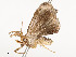  ( - CBG-A54383-A05)  @11 [ ] CreativeCommons - Attribution Share - Alike (2025) CBG Photography Group Centre for Biodiversity Genomics