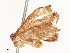 ( - CBG-A54383-B06)  @11 [ ] CreativeCommons - Attribution Share - Alike (2025) CBG Photography Group Centre for Biodiversity Genomics