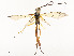  ( - CBG-A54385-A03)  @11 [ ] CreativeCommons - Attribution Share - Alike (2024) CBG Photography Group Centre for Biodiversity Genomics