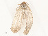  ( - CBG-A54385-D10)  @11 [ ] CreativeCommons - Attribution Share - Alike (2024) CBG Photography Group Centre for Biodiversity Genomics