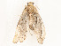  ( - CBG-A54385-E05)  @11 [ ] CreativeCommons - Attribution Share - Alike (2024) CBG Photography Group Centre for Biodiversity Genomics