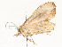  ( - CBG-A54459-E07)  @11 [ ] CreativeCommons - Attribution Share - Alike (2024) CBG Photography Group Centre for Biodiversity Genomics