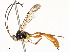  ( - CBG-A54459-F08)  @11 [ ] CreativeCommons - Attribution Share - Alike (2024) CBG Photography Group Centre for Biodiversity Genomics