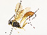  ( - CBG-A54463-A04)  @11 [ ] CreativeCommons - Attribution Share - Alike (2025) CBG Photography Group Centre for Biodiversity Genomics