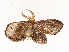  ( - CBG-A58593-H08)  @11 [ ] CreativeCommons - Attribution Share - Alike (2024) CBG Photography Group Centre for Biodiversity Genomics