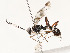  ( - CBG-A58594-A07)  @11 [ ] CreativeCommons - Attribution Share - Alike (2024) CBG Photography Group Centre for Biodiversity Genomics