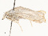  ( - CBG-A58594-E06)  @11 [ ] CreativeCommons - Attribution Share - Alike (2024) CBG Photography Group Centre for Biodiversity Genomics