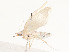  ( - CBG-A58594-E07)  @11 [ ] CreativeCommons - Attribution Share - Alike (2024) CBG Photography Group Centre for Biodiversity Genomics
