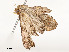  ( - CBG-A54384-B06)  @11 [ ] CreativeCommons - Attribution Share - Alike (2025) CBG Photography Group Centre for Biodiversity Genomics