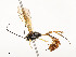  ( - CBG-A58600-B12)  @11 [ ] CreativeCommons - Attribution Share - Alike (2025) CBG Photography Group Centre for Biodiversity Genomics