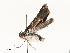  ( - CBG-A58617-E05)  @11 [ ] CreativeCommons - Attribution Share - Alike (2025) CBG Photography Group Centre for Biodiversity Genomics