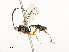  ( - CBG-A58689-B07)  @11 [ ] CreativeCommons - Attribution Share - Alike (2025) CBG Photography Group Centre for Biodiversity Genomics