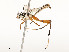  ( - CBG-A58689-B09)  @11 [ ] CreativeCommons - Attribution Share - Alike (2025) CBG Photography Group Centre for Biodiversity Genomics