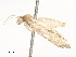  ( - CBG-A58689-E06)  @11 [ ] CreativeCommons - Attribution Share - Alike (2025) CBG Photography Group Centre for Biodiversity Genomics