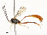  ( - CBG-A58706-C12)  @11 [ ] CreativeCommons - Attribution Share - Alike (2025) CBG Photography Group Centre for Biodiversity Genomics
