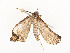  ( - CBG-A59477-C08)  @11 [ ] CreativeCommons - Attribution Share - Alike (2025) CBG Photography Group Centre for Biodiversity Genomics