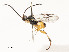  ( - CBG-A59477-F11)  @11 [ ] CreativeCommons - Attribution Share - Alike (2025) CBG Photography Group Centre for Biodiversity Genomics