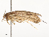  ( - CBG-A59480-A10)  @11 [ ] CreativeCommons - Attribution Share - Alike (2025) CBG Photography Group Centre for Biodiversity Genomics