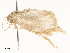  ( - CBG-A59480-C03)  @11 [ ] CreativeCommons - Attribution Share - Alike (2025) CBG Photography Group Centre for Biodiversity Genomics
