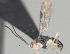  ( - CCDB-38214-C07)  @11 [ ] CreativeCommons - Attribution (2023) Michael Sharkey Centre for Biodiversity Genomics