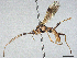  ( - CBG-A13332-H06)  @11 [ ] CreativeCommons - Attribution Share - Alike (2023) CBG Photography Group Centre for Biodiversity Genomics