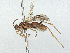 ( - CBG-A13332-H11)  @11 [ ] CreativeCommons - Attribution Share - Alike (2023) CBG Photography Group Centre for Biodiversity Genomics