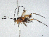  ( - CBG-A13333-F09)  @11 [ ] CreativeCommons - Attribution Share - Alike (2023) CBG Photography Group Centre for Biodiversity Genomics