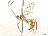  ( - CBG-A28649-H01)  @11 [ ] CreativeCommons - Attribution Share-Alike (2024) CBG Photography Group Centre for Biodiversity Genomics