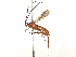  ( - CBG-A28649-H04)  @11 [ ] CreativeCommons - Attribution Share-Alike (2024) CBG Photography Group Centre for Biodiversity Genomics