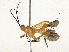  ( - CBG-A28649-H08)  @11 [ ] CreativeCommons - Attribution Share-Alike (2024) CBG Photography Group Centre for Biodiversity Genomics