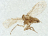  ( - CBG-A39033-H05)  @11 [ ] CreativeCommons - Attribution Share - Alike (2025) CBG Photography Group Centre for Biodiversity Genomics