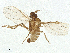  ( - CBG-A39059-F08)  @11 [ ] CreativeCommons - Attribution Share - Alike (2025) CBG Photography Group Centre for Biodiversity Genomics