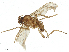  ( - CBG-A39061-D02)  @11 [ ] CreativeCommons - Attribution Share - Alike (2025) CBG Photography Group Centre for Biodiversity Genomics