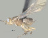  ( - CCDB-38198-E05)  @11 [ ] CreativeCommons - Attribution (2023) Michael Sharkey Centre for Biodiversity Genomics