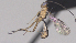  ( - CCDB-38196-G07)  @11 [ ] CreativeCommons - Attribution (2023) Michael Sharkey Centre for Biodiversity Genomics