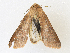  ( - CBG-A30024-C10)  @11 [ ] CreativeCommons - Attribution Share - Alike (2024) CBG Photography Group Centre for Biodiversity Genomics