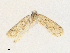  ( - CBG-A30024-E01)  @11 [ ] CreativeCommons - Attribution Share - Alike (2024) CBG Photography Group Centre for Biodiversity Genomics