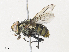  ( - CBG-A30063-B07)  @11 [ ] CreativeCommons - Attribution Share - Alike (2024) CBG Photography Group Centre for Biodiversity Genomics