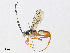  ( - CBG-A30063-F05)  @11 [ ] CreativeCommons - Attribution Share - Alike (2024) CBG Photography Group Centre for Biodiversity Genomics