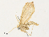  ( - CBG-A30063-G06)  @11 [ ] CreativeCommons - Attribution Share - Alike (2024) CBG Photography Group Centre for Biodiversity Genomics