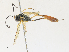  ( - CBG-A30127-C05)  @11 [ ] CreativeCommons - Attribution Share - Alike (2024) CBG Photography Group Centre for Biodiversity Genomics