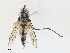  ( - CBG-A30127-F02)  @11 [ ] CreativeCommons - Attribution Share - Alike (2024) CBG Photography Group Centre for Biodiversity Genomics