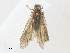  ( - CBG-A30946-D04)  @11 [ ] CreativeCommons - Attribution Share - Alike (2024) CBG Photography Group Centre for Biodiversity Genomics